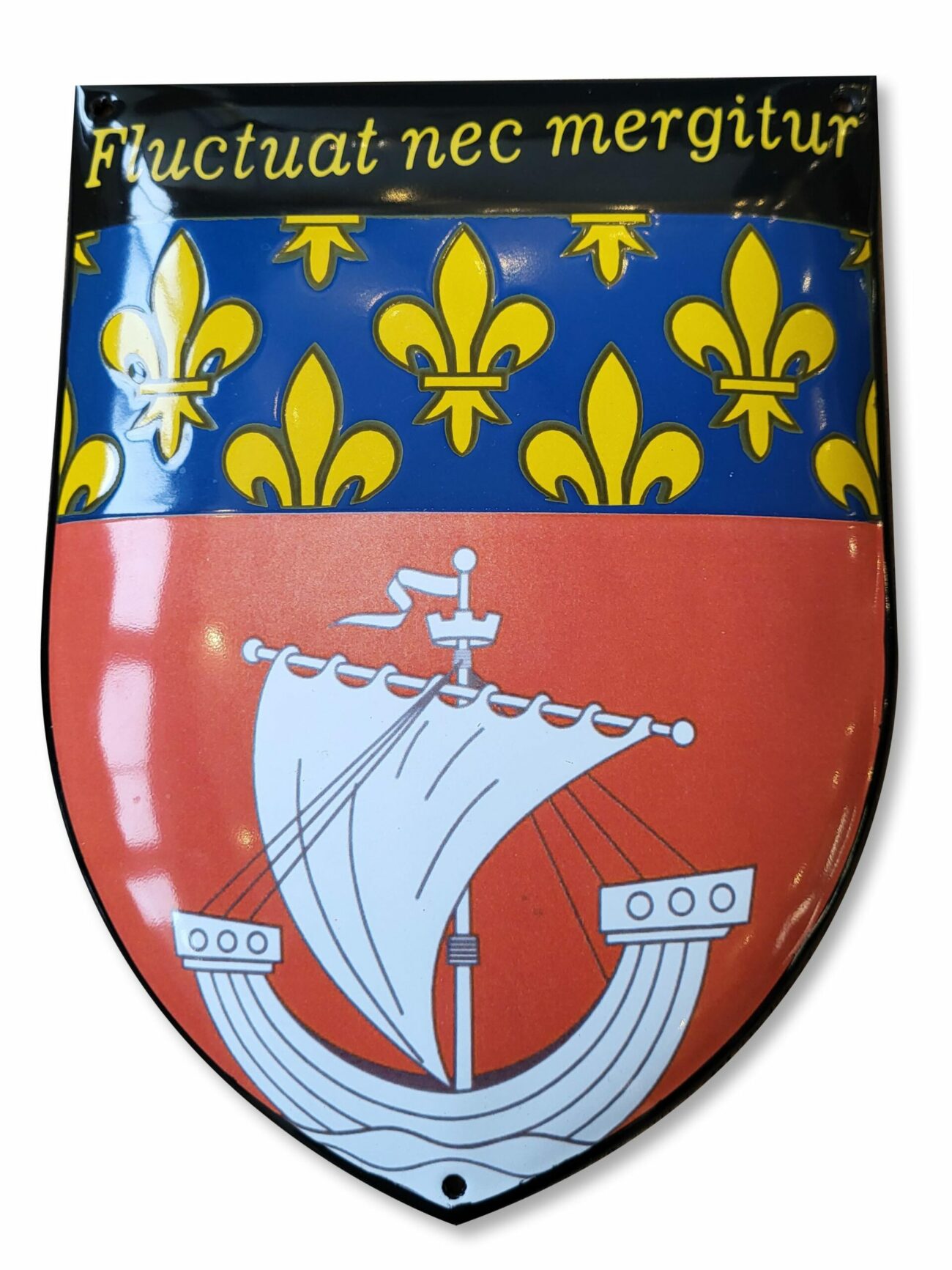 Blason émaillé bombé, votre visuel personnalisé - Sélénium